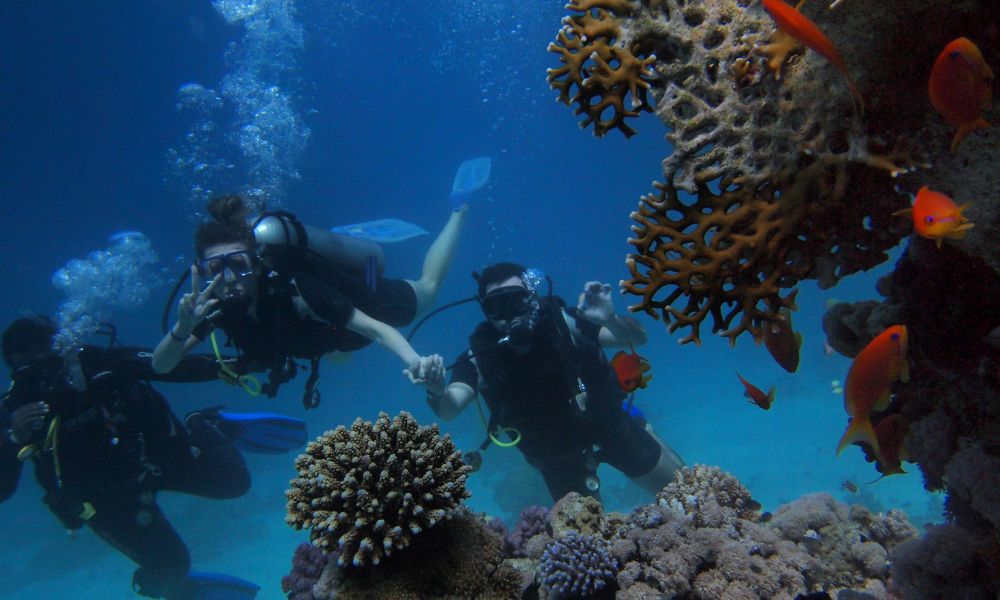 Objavte podvodný raj: Top destinácie pre dobrodružný potápačský výlet