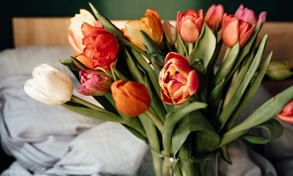 Týmito trikmi dosiahneme, že tulipány môžu zostať vo váze až dva týždne čerstvé